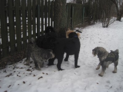 IMG_9980.JPG (92.76 КБ) 2867 просмотров Ну вот чего они в ней нашли???....Предатели((((