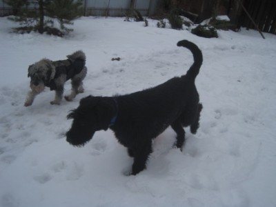 IMG_9985.JPG (64.76 КБ) 2997 просмотров Эй!! понаехавшая!! ЗДЕСЬ ВСЁ МОЁ!!!