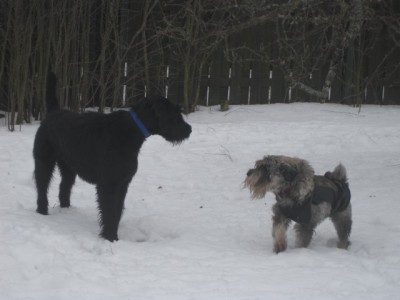 IMG_9991.JPG (76.89 КБ) 2997 просмотров Не забывай что ты в гостях!!.....Смотрю на тебя!!!