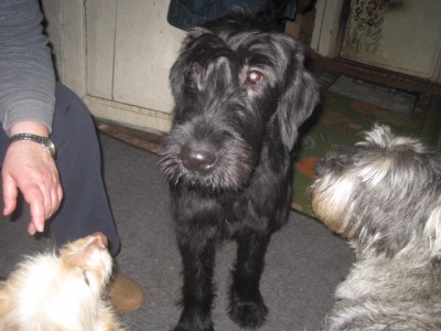 IMG_0005.JPG (114.91 КБ) 2526 просмотров без комментариев))