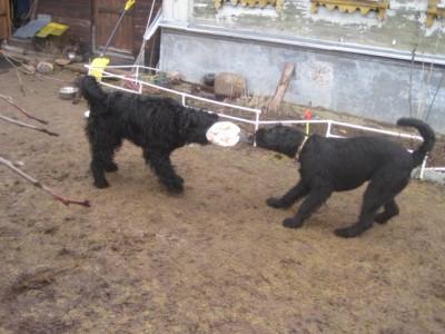 IMG_0125.JPG (135.19 КБ) 3163 просмотра Ну я же тебя вежливо и ласково прошу....