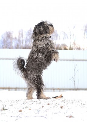 87545787_1267184210142900_2432098138429849600_o.jpg (72.48 КБ) 5235 просмотров Шкипер- первый клоун на деревне))