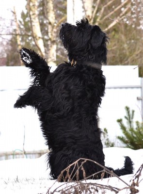 88153231_1267182790143042_8352947960283136000_o.jpg (99.95 КБ) 5334 просмотра Тёмкины приветы всем всем девочкам к празднику)))