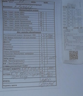 IMG-20200307-WA0012.jpg (161.42 КБ) 34997 просмотров IMG-20200307-WA0012.jpg