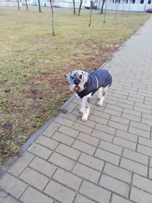 в этом сезоне натуральный мех не в тренде, поэтому свою шубу Янч сменил на пальто