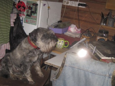 IMG_0531.JPG (115.85 КБ) 3021 просмотр сидим...