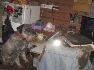 IMG_0532.JPG (112.63 КБ) 2888 просмотров в тырнете