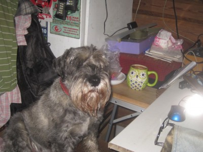 IMG_0533.JPG (114.13 КБ) 3129 просмотров А мы тут