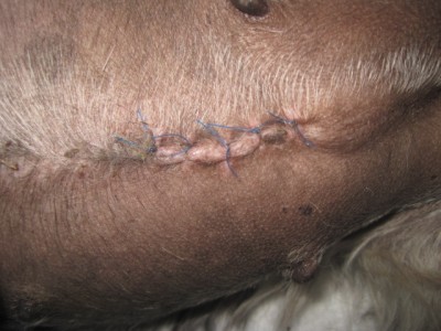 IMG_0545.JPG (121.07 КБ) 3047 просмотров это вот такой шовчик был