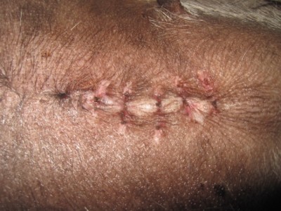 IMG_0546.JPG (144.09 КБ) 3047 просмотров шовчик сняли)