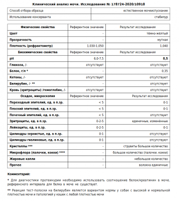 Screenshot_2020-12-17 Кеша, ОАМ pdf.png