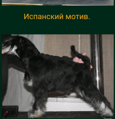 Screenshot_20210924-192821_crop_468x486-234x243.png