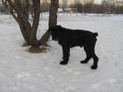 IMG_1422.JPG