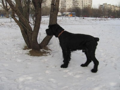 IMG_1420.JPG
