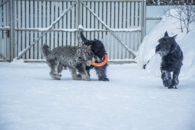 GqqlUXCJtfY.jpg (110.33 КБ) 12176 просмотров Двое дерутся - третий не лезь..Мудрый Данька))