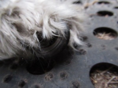 IMG_4492.JPG (96.72 КБ) 23175 просмотров он же