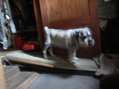 IMG_4622.JPG (101.7 КБ) 3402 просмотра Выбор сделан))