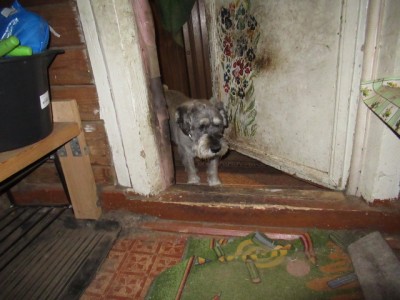 IMG_4628.JPG (140.37 КБ) 3061 просмотр Филя, заходи)))!