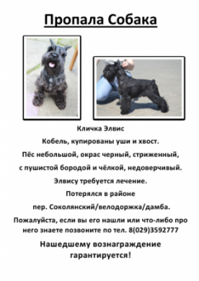 макет.png