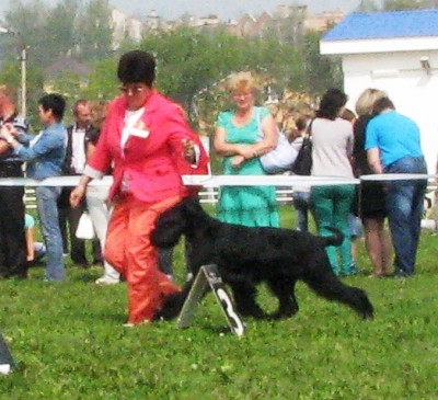 IMG_8902.JPG