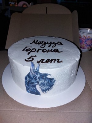 И тортик, испеченный нашей подругой для Гошани в ее ДР