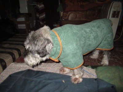 IMG_5832.JPG (130.49 КБ) 4205 просмотров Померили-как раз!!!