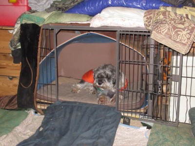 IMG_6401.JPG (160.53 КБ) 6167 просмотров И что б больше никаких чужих мужиков на постой!!!!