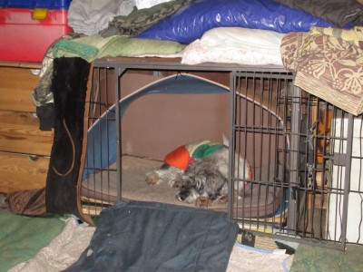 IMG_6402.JPG (157.73 КБ) 6167 просмотров Всё Филино!!!