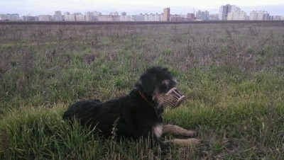 л15.jpg