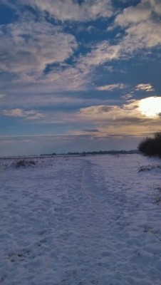 снег3.jpg