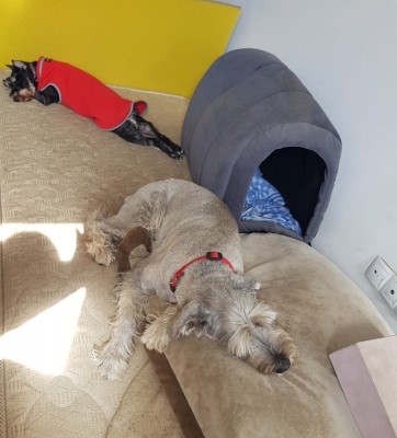 IMG-20230703-WA0018.jpg (212.92 КБ) 4876 просмотров IMG-20230703-WA0018.jpg