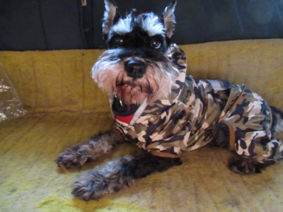 IMG_8720.JPG (128.97 КБ) 25021 просмотр Ну и вкус у вас....что мне теперь..строем ходить?