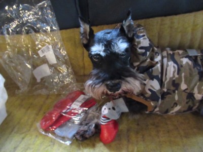 IMG_8722.JPG (127.04 КБ) 25021 просмотр мда....камуфляж и красные лаковые ботиночки с белыми носочками....Похоже крыша ваша, маменька, съехамши...