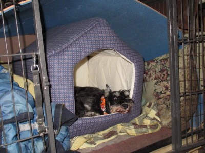 IMG_8767.JPG (168.38 КБ) 23595 просмотров Это дом гнома, и гном-дома))) Отдыхаем днём от трудов праведных))