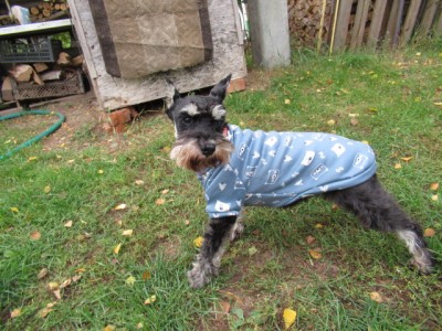 IMG_8772.JPG (211.06 КБ) 23595 просмотров Шикарная толстовочка от Ольги) Тютелька в тютельку!))