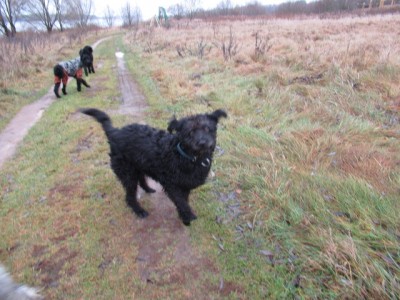 IMG_9124.JPG (171.73 КБ) 7642 просмотра Здравствуйте)) Я-Чапа))