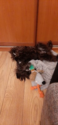 IMG-20240122-WA0010.jpg