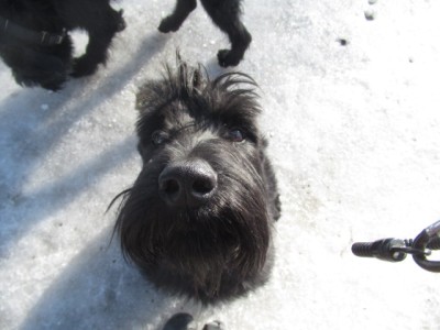 IMG_9624.JPG (111.45 КБ) 11628 просмотров Где же мои папа и мама?? вы не видели??