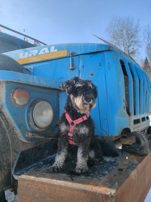 WhatsApp Image 2024-03-08 at 12.05.31.jpeg (125.96 КБ) 1333 просмотра WhatsApp Image 2024-03-08 at 12.05.31.jpeg