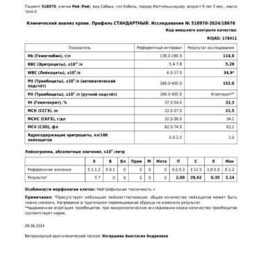 IMG_20240609_142221.jpg