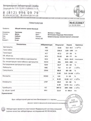 IMG_20240808_104359.jpg