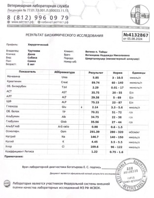 IMG_20240808_104417.jpg