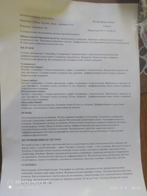 WhatsApp Image 2024-08-08 at 08.55.56.jpeg