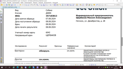Снимок экрана (778).png