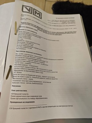 IMG-20240810-WA0013.jpg (107.38 КБ) 12370 просмотров IMG-20240810-WA0013.jpg