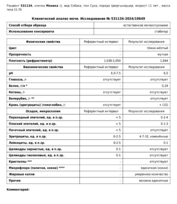 IMG_20240820_183423.jpg (108.6 КБ) 11477 просмотров IMG_20240820_183423.jpg