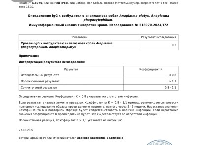 IMG_20240827_175017.jpg
