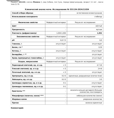 IMG_20240831_234537.jpg (217.85 КБ) 10392 просмотра IMG_20240831_234537.jpg