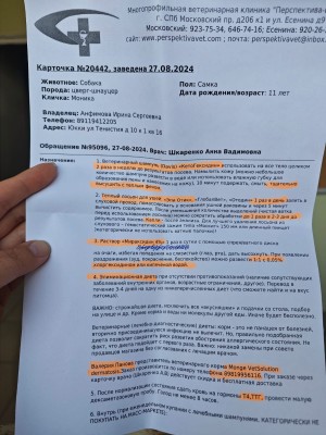 IMG-20240827-WA0004.jpg (231.83 КБ) 10357 просмотров IMG-20240827-WA0004.jpg