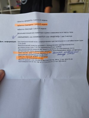 IMG-20240827-WA0005.jpg (134.04 КБ) 10393 просмотра IMG-20240827-WA0005.jpg